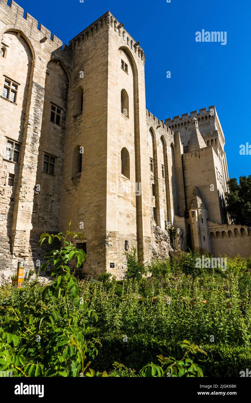 Giardino del Palazzo Papale ad Avignone, Francia Foto Stock
