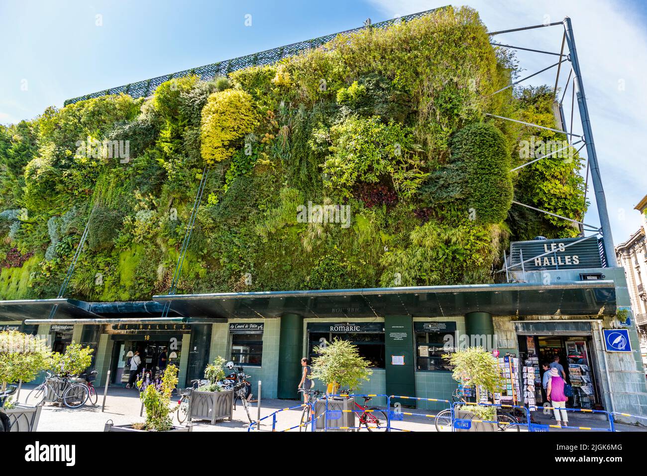 Mercato di Les Halles ad Avignone. Il muro della pianta di Patrick Blanc ha un sofisticato sistema di irrigazione e ha innescato un boom di ecologizzazione urbana verticale in tutto il mondo. 20 piante crescono su un metro quadrato. La facciata esterna del mercato di Avignone (Francia) è lussureggiante di piante Foto Stock