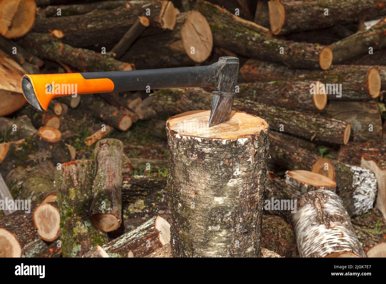 Un'ascia speciale per la spaccatura del legno è bloccata nel ceppo. L'ascia divide il log per l'essiccazione e la successiva preparazione per il riscaldamento dei rottami in inverno. Foto Stock