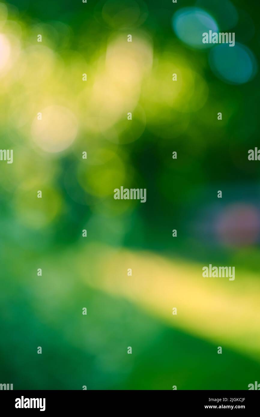 Astratto verde natura bokeh sfondo giardino. Foto di alta qualità Foto Stock