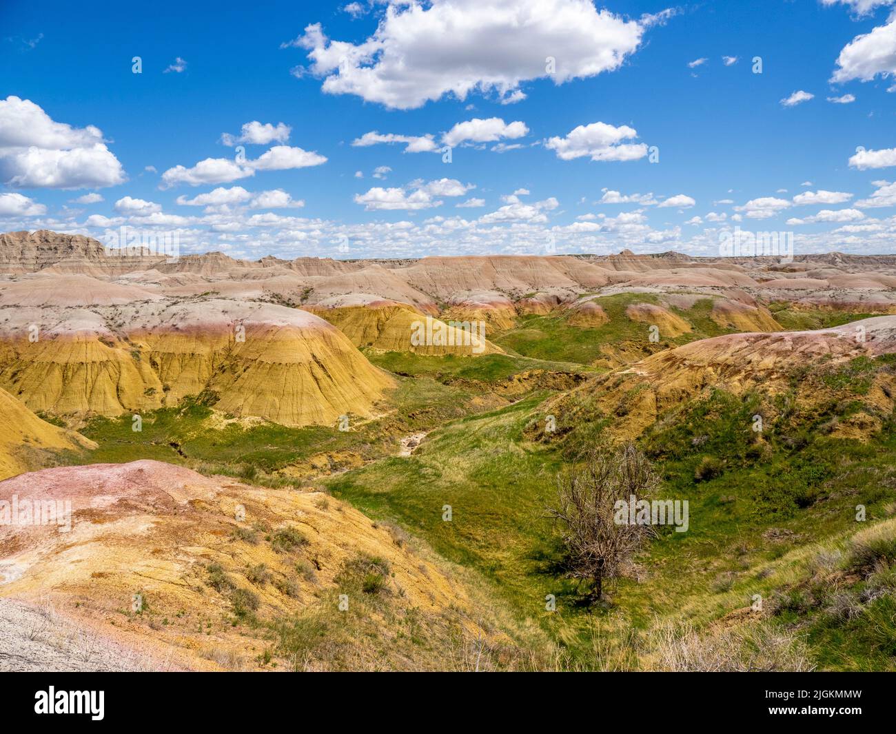 Area dei Yellow Mounds del Badlands National Park nel South Dakota USA Foto Stock