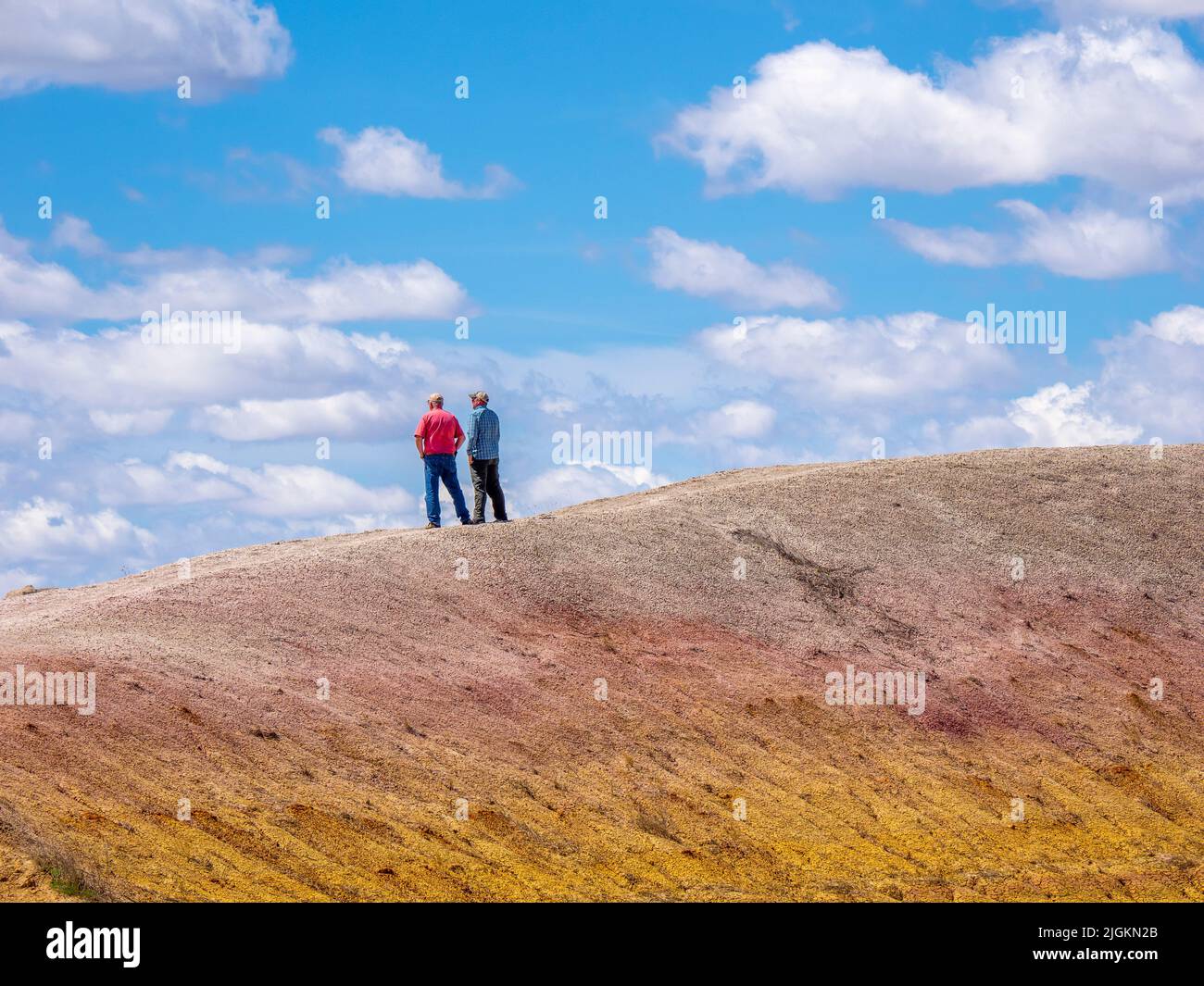 Area dei Yellow Mounds del Badlands National Park nel South Dakota USA Foto Stock