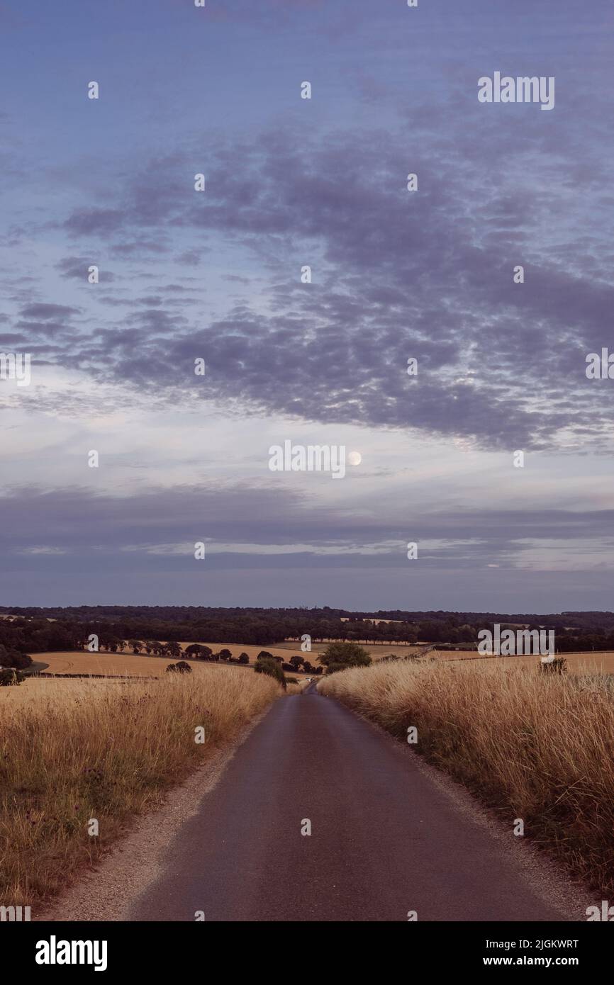 Tramonto a campi vicino alla Ridgeway , vicino a Crowmarsh Gifford, Wallingford Foto Stock