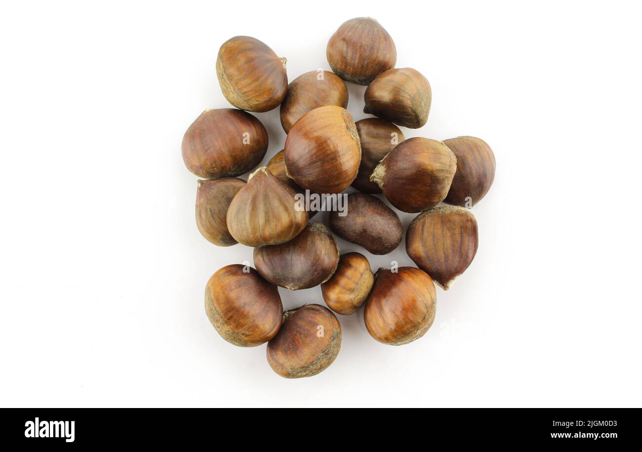Mucchio di castagne marroni asciutte isolate su fondo bianco Foto Stock