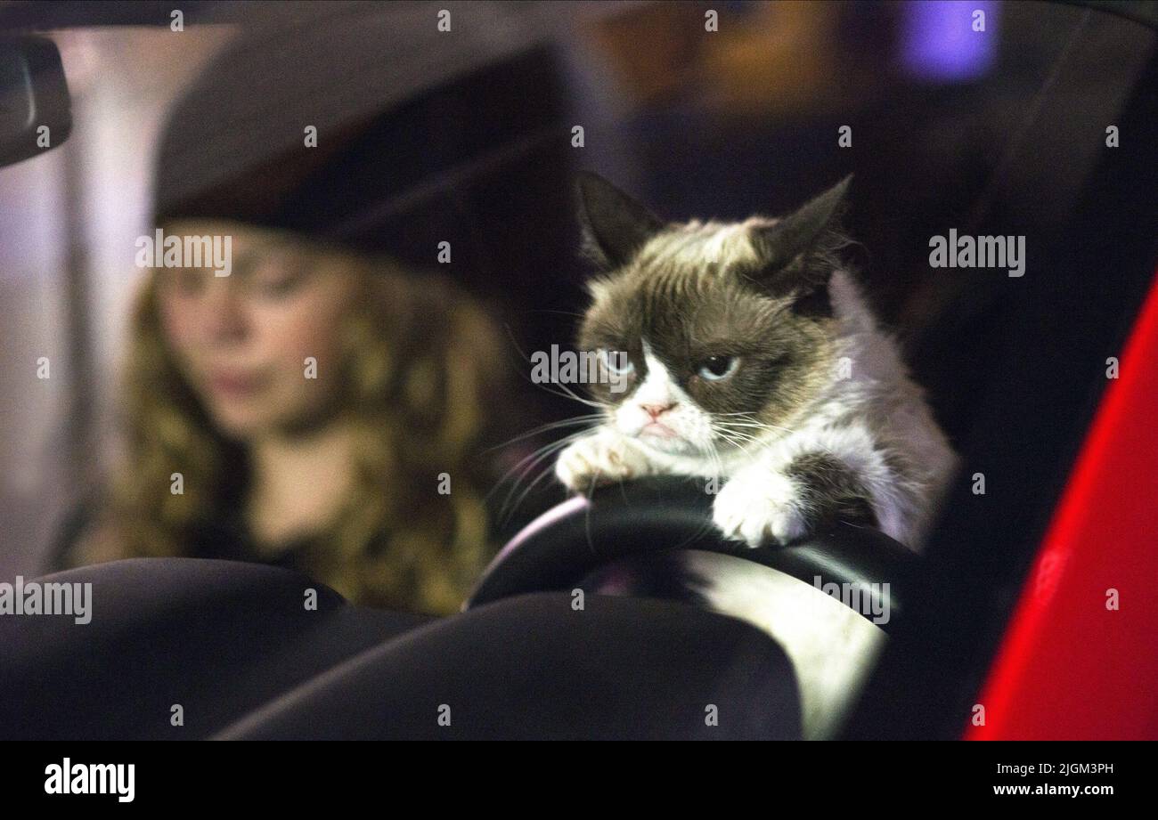 CHARPENTIER, CAT, IL PEGGIORE NATALE DI CAT GRUMPY MAI, 2014 Foto Stock