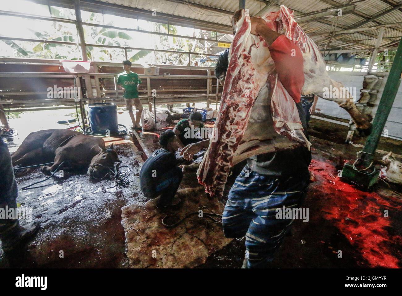 Un lavoratore porta un taglio di carne bovina nel macello di Bogor City a Bogor, West Java, Indonesia, il 10 luglio 2022 Foto Stock