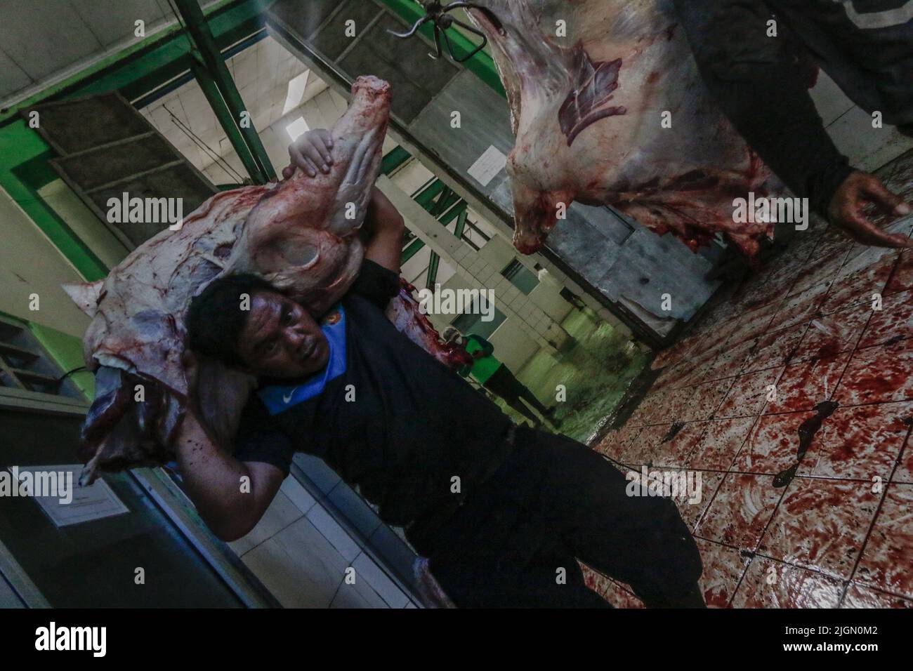 Un lavoratore porta un taglio di carne bovina nel macello di Bogor City a Bogor, West Java, Indonesia, il 10 luglio 2022 Foto Stock