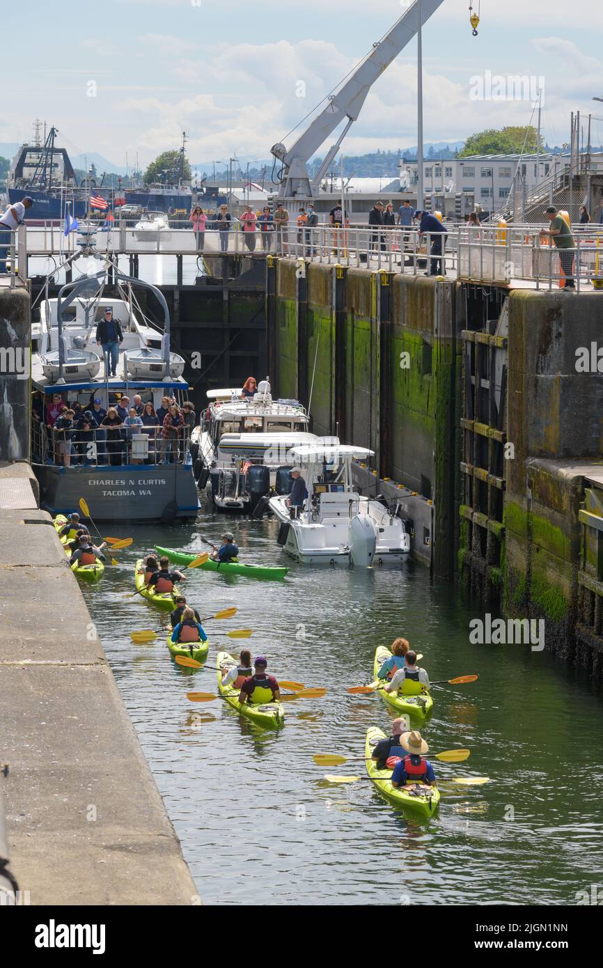 Seattle - 09 luglio 2022; Un gruppo di kayakers entra nella piccola ciocca alle chiuse Ballard di Seattle in una giornata estiva soleggiata Foto Stock