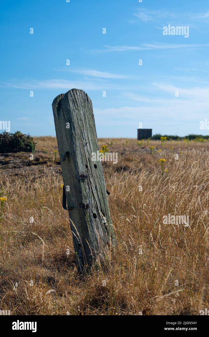 Un vecchio palo di legno parte della guerra mondiale 2 difese a Orford Ness, Suffolk, Regno Unito Foto Stock