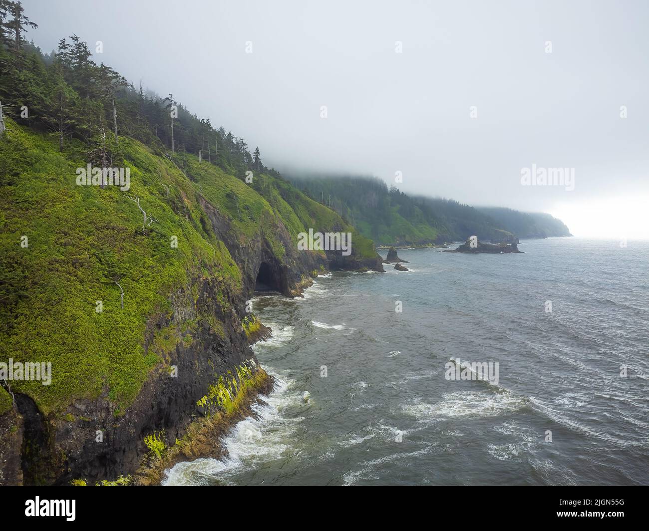 Lungo litorale collinare, coltivato con erba verde e alberi. Grande fiume, oceano con onde luminose. Cielo azzurro senza nuvole. Posto tranquillo e tranquillo. Ecologia, re Foto Stock