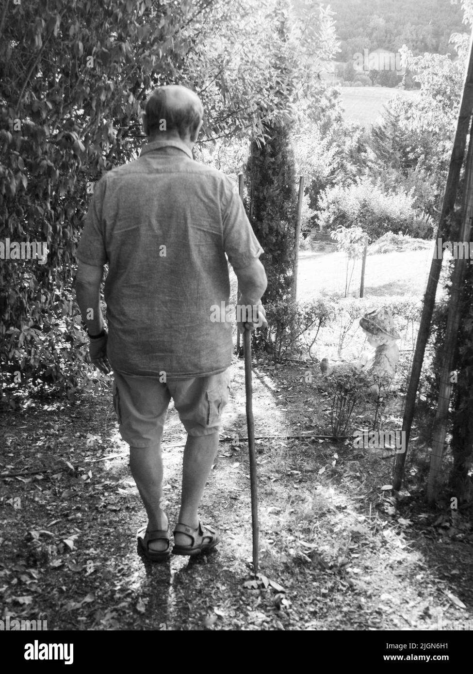 vecchio uomo con cielo palo che cammina in giardino e fattoria nella stagione estiva Foto Stock
