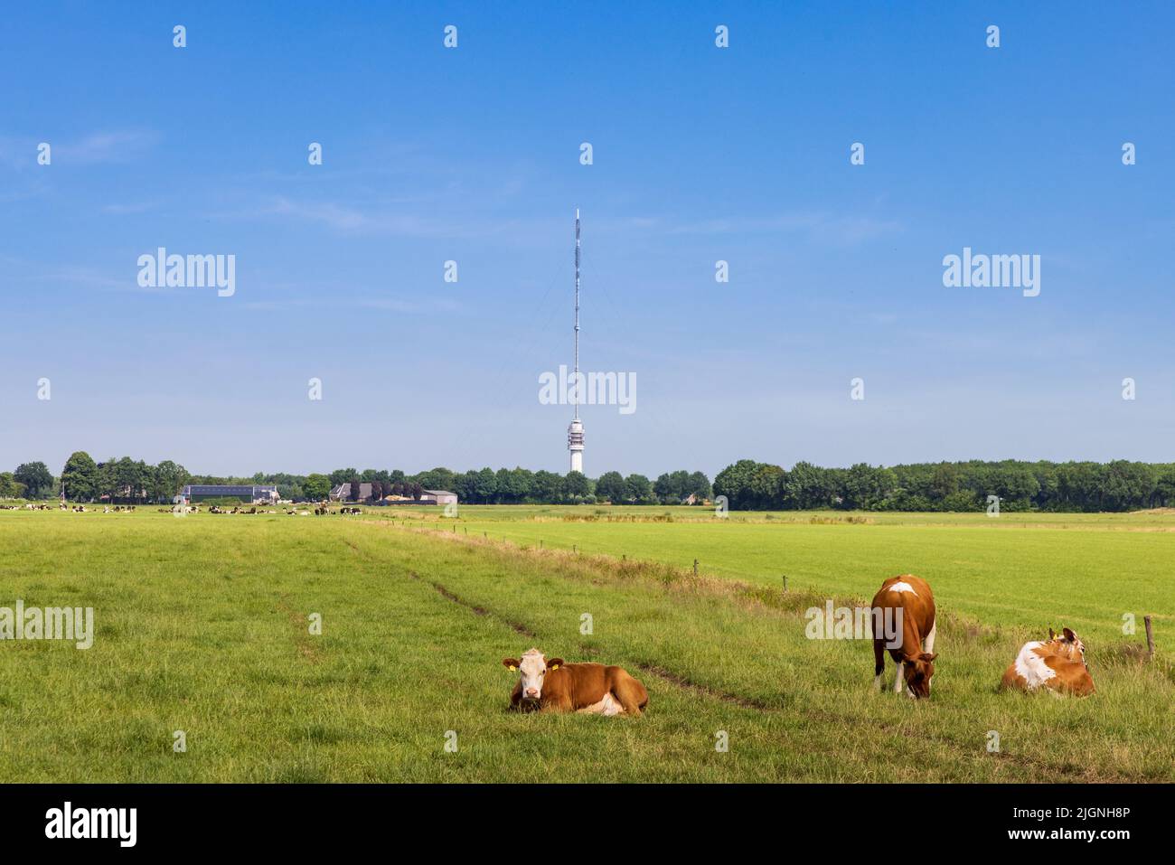 Paesaggio con torre di trasmissione Smilde Paesi Bassi Foto Stock