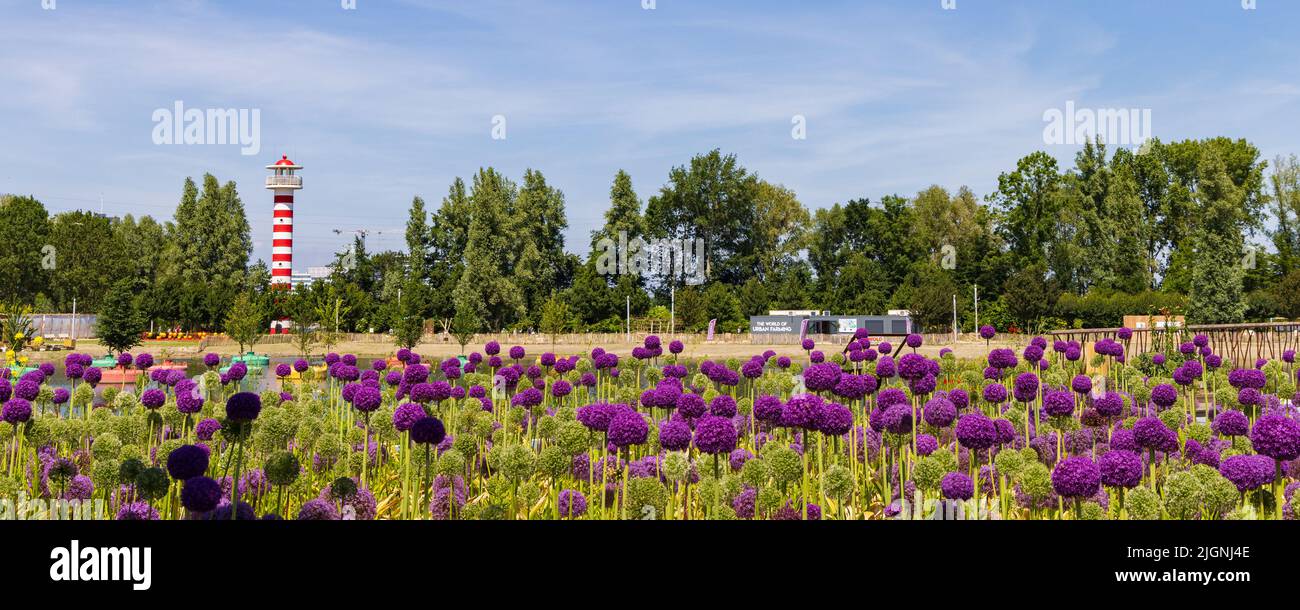 Almere, Paesi Bassi - Giugno 15: Faro colorato, alberi galleggianti e fiori dell'allio al Floriade Expo 2022 città verdi in crescita ad Almere Amsterdam Paesi Bassi Foto Stock