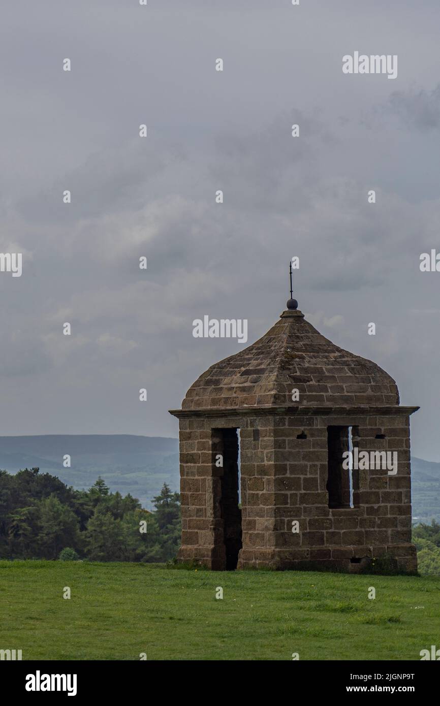 vittoriano spara follia sotto la cima del mirtillo di rosa, yorkshire settentrionale, regno unito Foto Stock