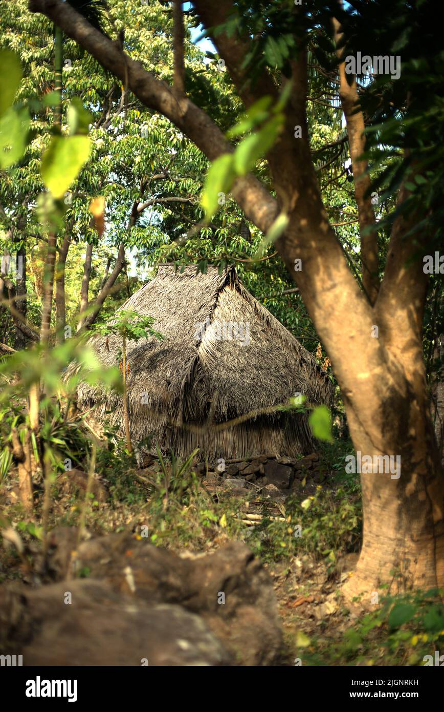 Una capanna con tetto di paglia nel mezzo della foresta ai piedi del Monte Uyelewun nell'Isola di Lembata, Lembata, Nusa Tenggara Est, Indonesia. Foto Stock