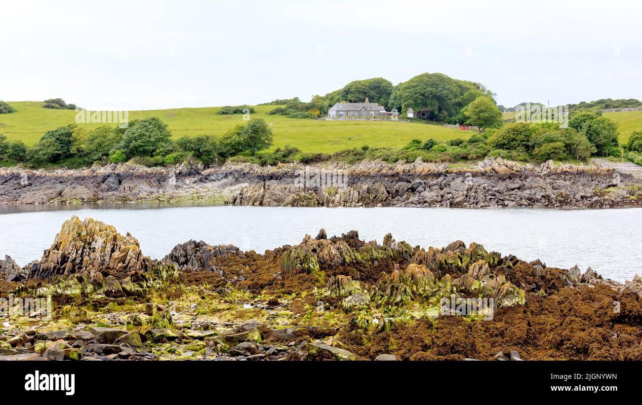 Vista sulle rocce della foce del porto con la bassa marea all'Isola di Whithorn Scozia Foto Stock