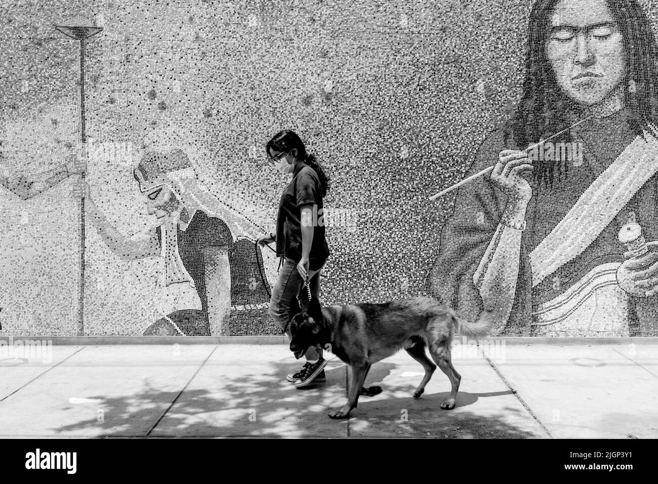 Il Murale/Mosaico presso l'Università Nazionale di Trujillo, Trujillo, Provincia di la Libertad, Perù. Foto Stock