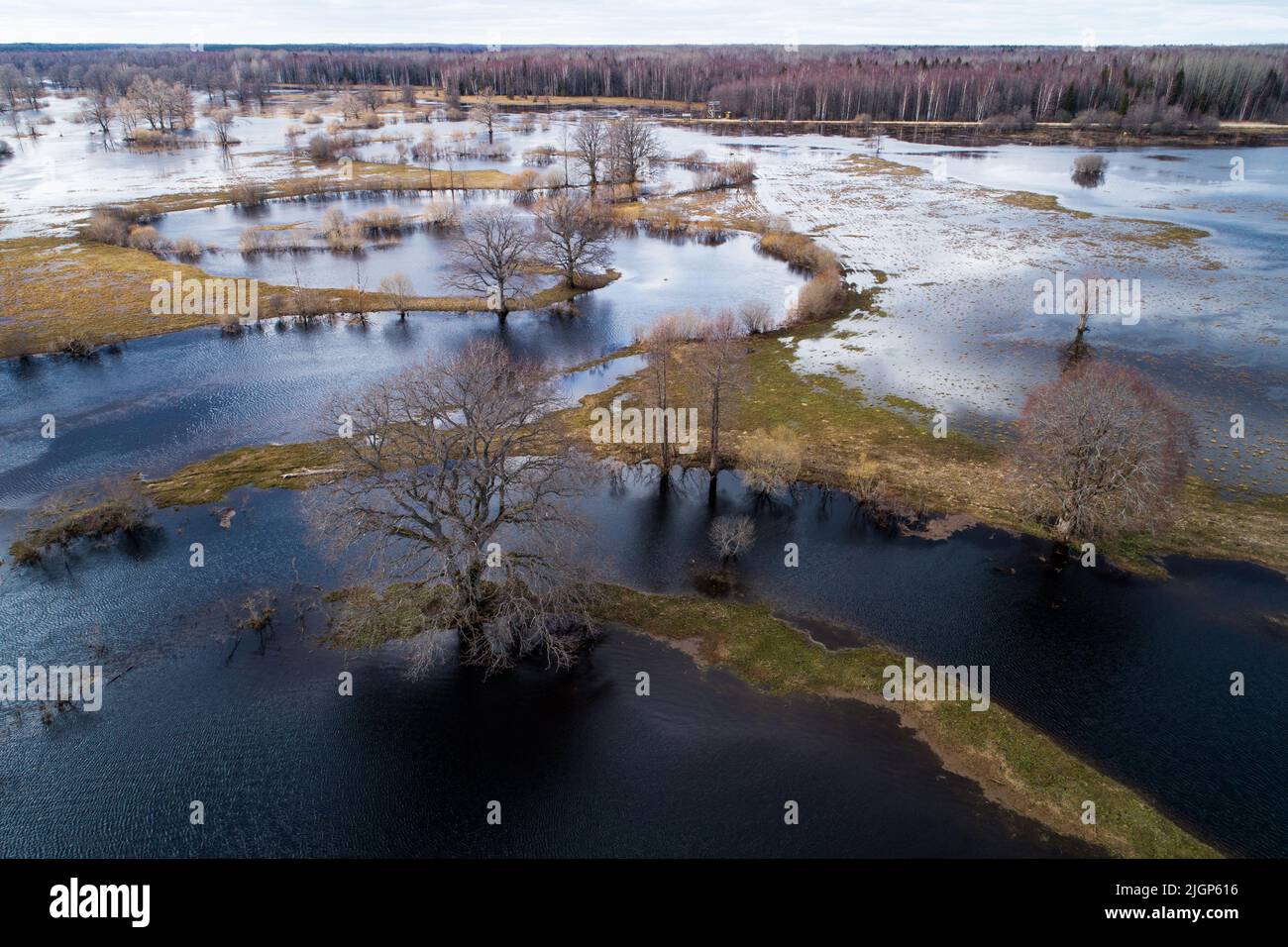 Paesaggio inondato durante la cosiddetta quinta stagione nel Parco Nazionale Soomaa, Estonia Foto Stock