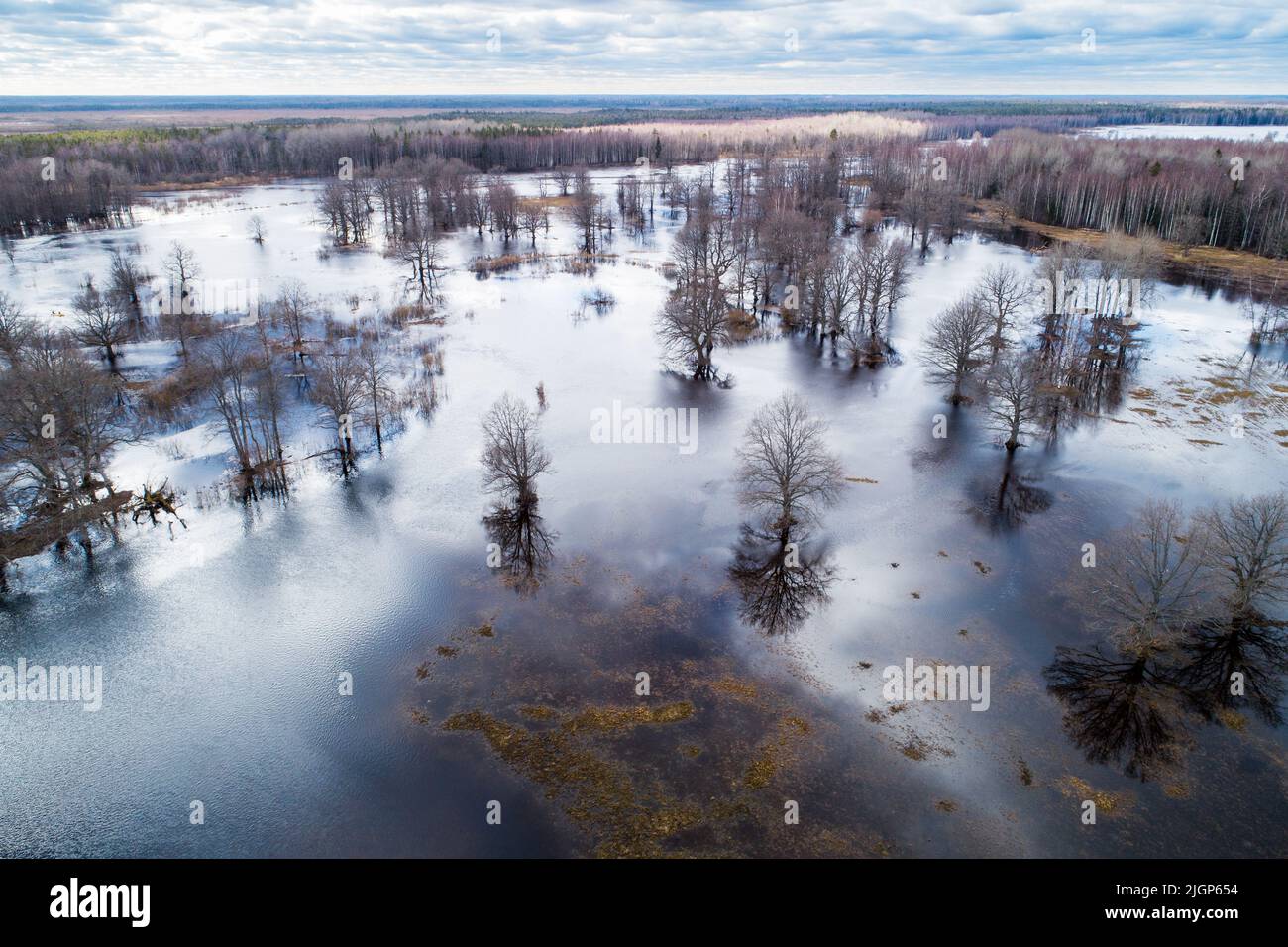 Paesaggio inondato durante la cosiddetta quinta stagione nel Parco Nazionale Soomaa, Estonia Foto Stock