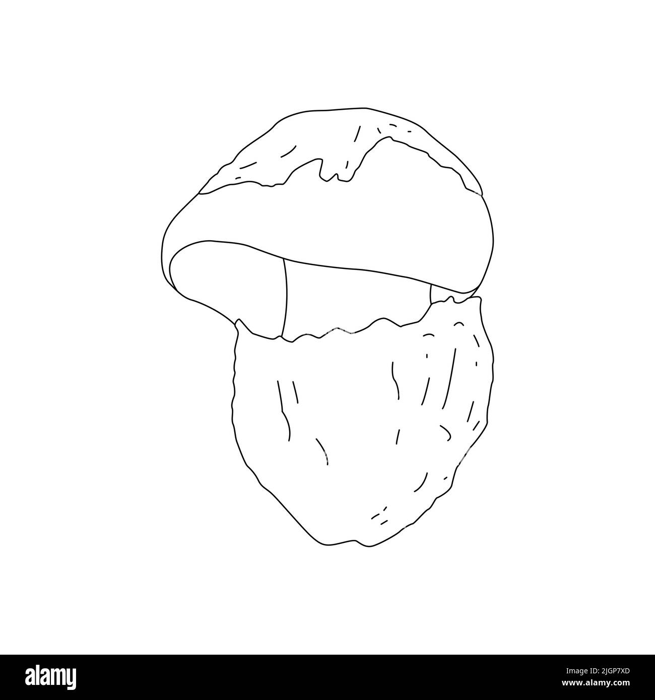 Linea di funghi Logo artistico vari funghi disegno a mano. Illustrazione Vettoriale
