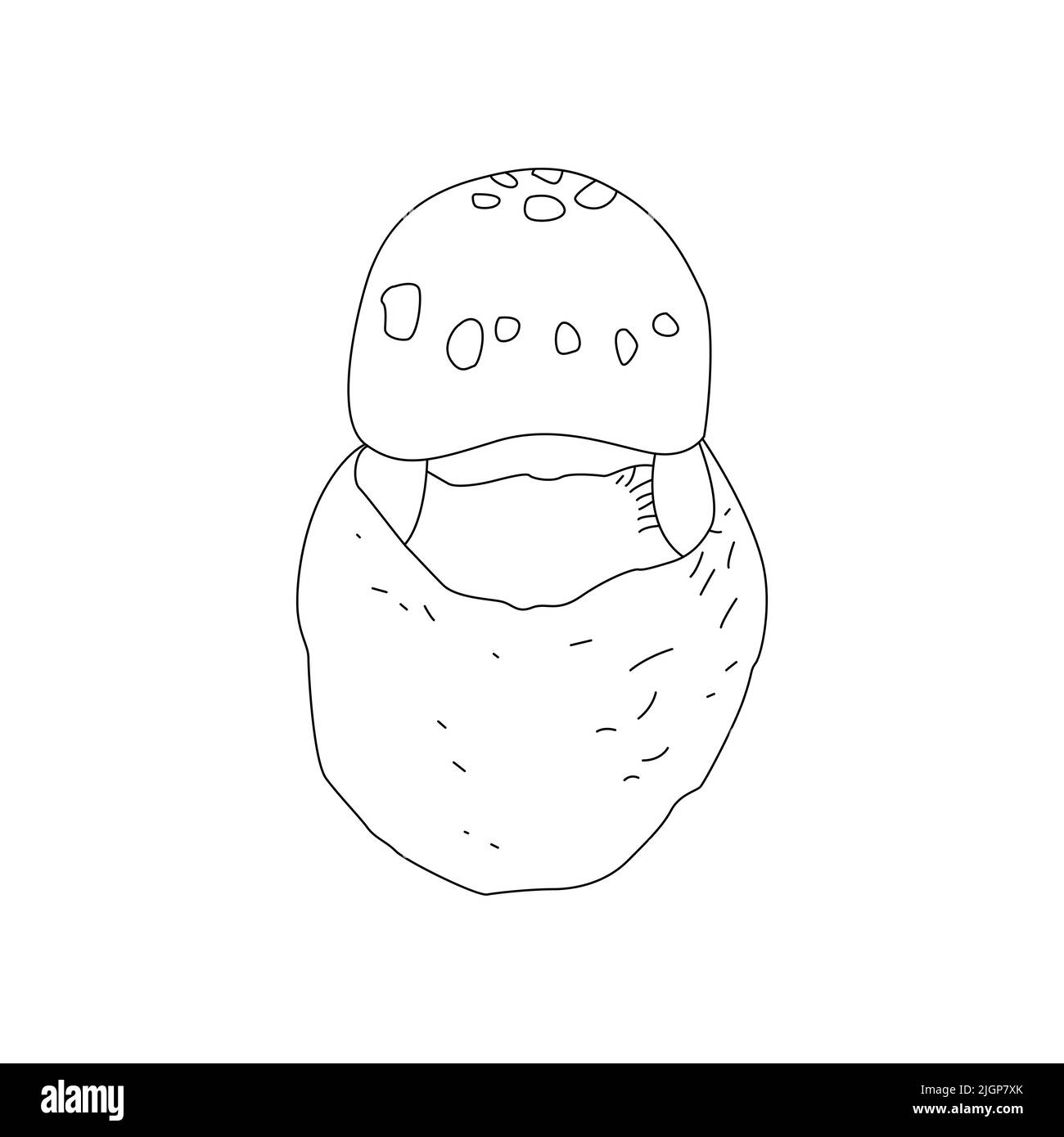 Linea di funghi Logo artistico vari funghi disegno a mano. Illustrazione Vettoriale