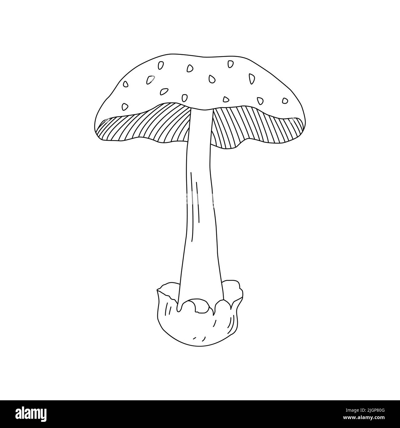 Linea di funghi Logo artistico vari funghi disegno a mano. Illustrazione Vettoriale