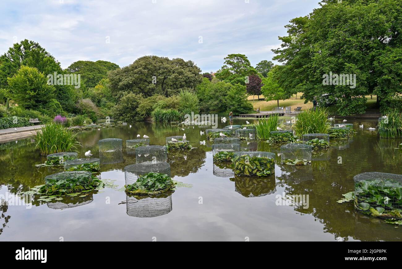 Brighton UK 12th Luglio 2022 - l'influenza di uccello è stata trovata in Queens Park , Brighton dove il consiglio comunale ha messo in su i segni che avvertiscono la gente di non maneggiare alcun uccello ammalato : Simon di accreditamento Dack / Alamy Live News Foto Stock