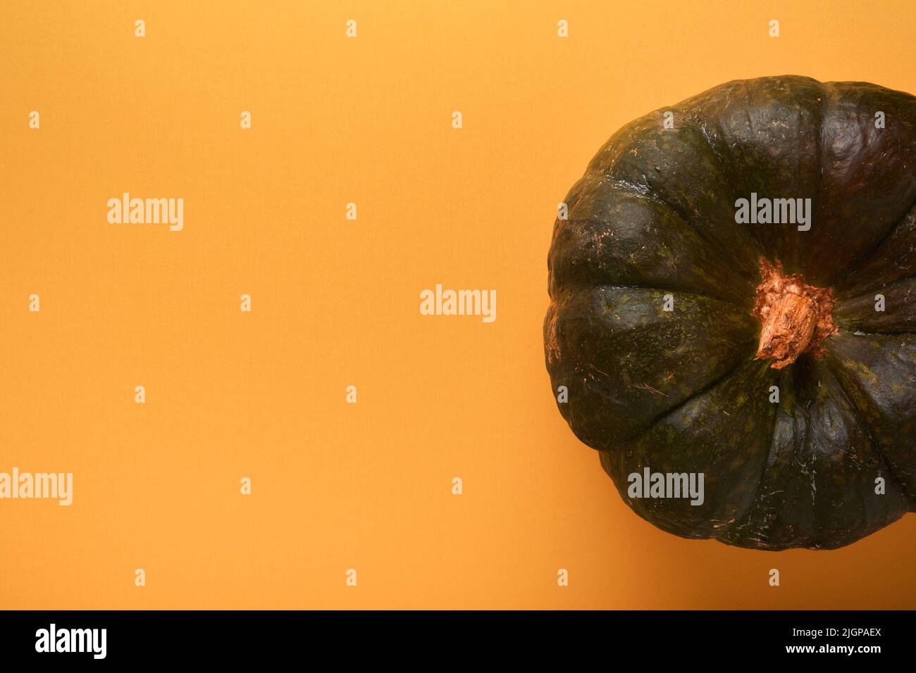 Zucca di Halloween. Una zucca, grande, vecchia e verde su sfondo arancione. Decorazione autunnale. Banner. Concetto di Halloween. Vista dall'alto. Foto Stock