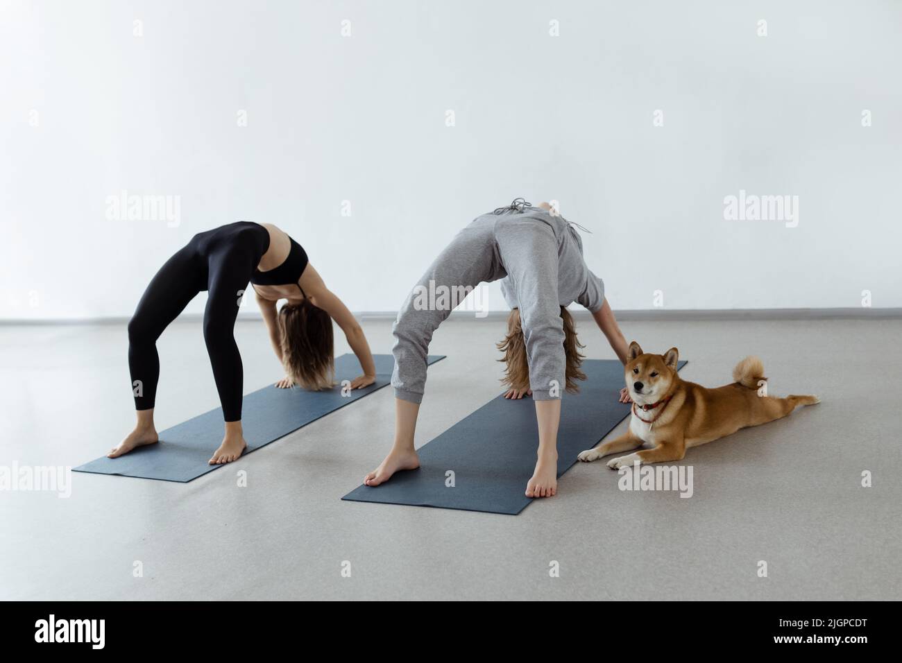 Corpo sottile e assistenza sanitaria. Urdhva Dhanurasana , posa rovesciata o posa del ponte Foto Stock