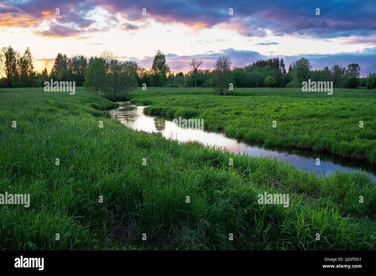 Piccolo fiume con riflessi al tramonto in una tranquilla serata primaverile in Estonia, Nord Europa Foto Stock