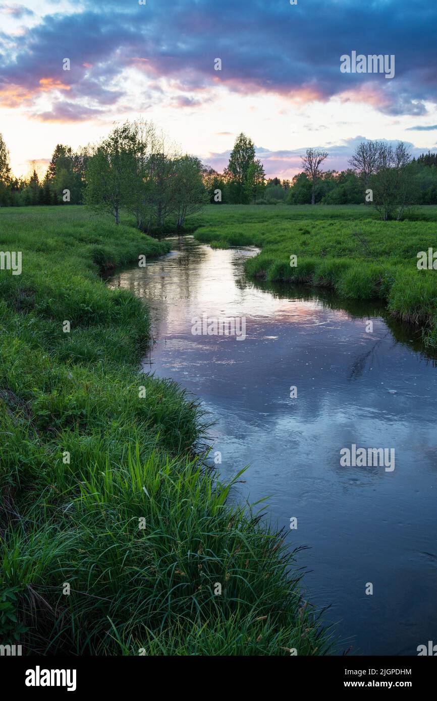 Piccolo fiume con riflessi al tramonto in una tranquilla serata primaverile in Estonia, Nord Europa Foto Stock