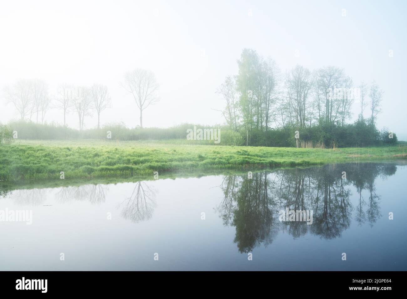 Ammira il paesaggio misteriosa del fiume in tarda mattinata primaverile in Estonia, Nord Europa Foto Stock