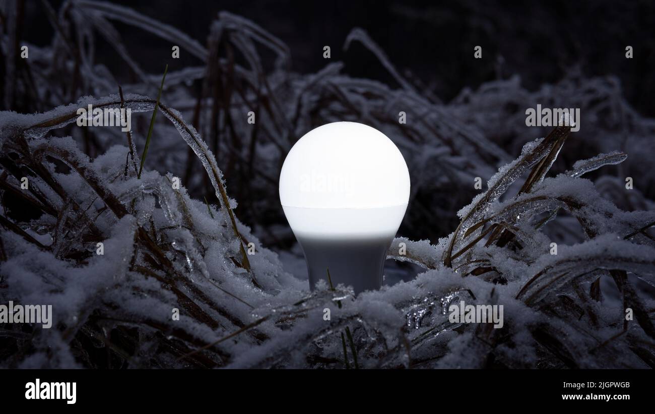 Lampadina a LED bianca sul terreno su sfondo naturale nella foresta invernale notturna. Foto creativa del concetto di risparmio energetico. Il LED di scarico è acceso. Foto Stock