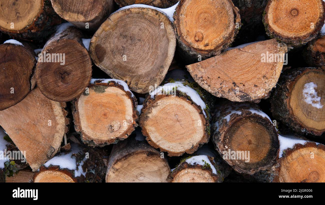 Panorama di tronchi di legno accatastati coperti di neve e disposti in più file. Legno sfondo naturale. Vista ravvicinata della legna da ardere secca. Foto Stock