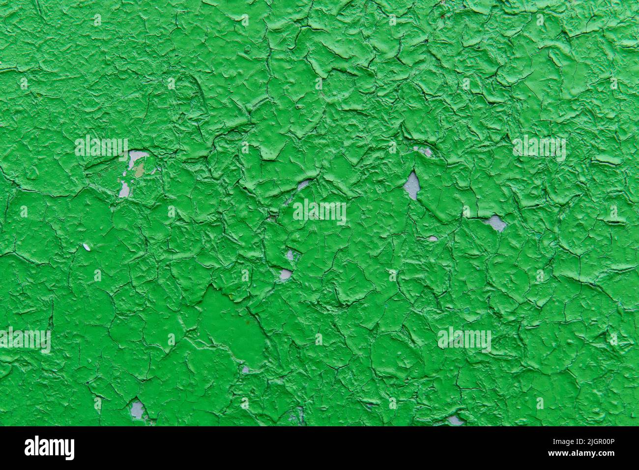 Vecchia vernice verde spaccata, quella applicata ad una vecchia parete grigia. Texture parete grunge per il design. Vecchia texture di vernice. Sfondo astratto colorato incrinato. Foto Stock