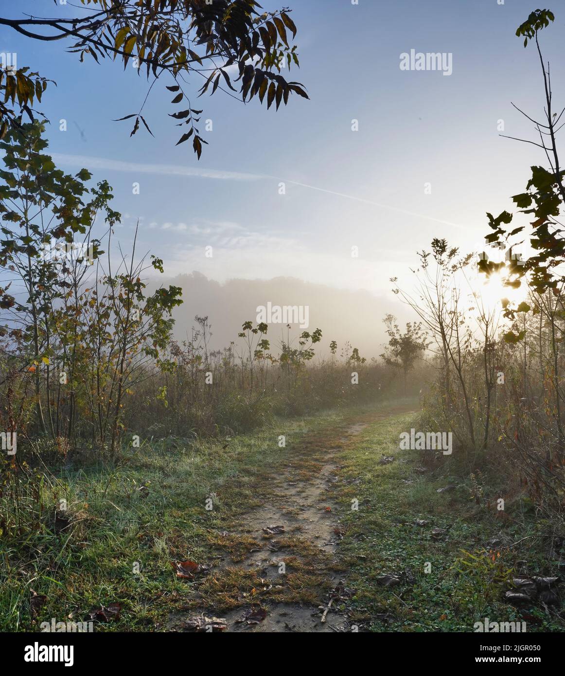 Un'immagine ritratto di un sentiero escursionistico di prima mattina nel paese in Kentucky in una fresca mattinata d'autunno. Foto Stock