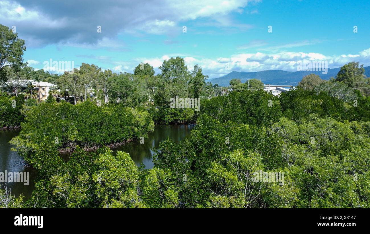 Vista aerea del Queesnland tropicale con case e sfondo di montagna Foto Stock