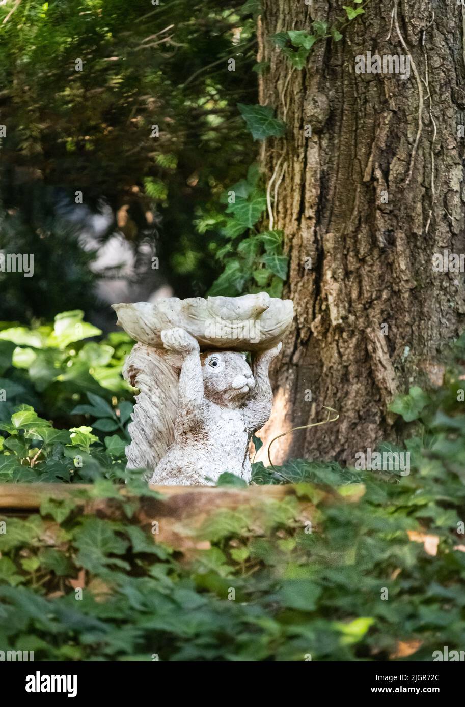 Una statua giardino di uno scoiattolo che porta un piatto sulla sua testa nei boschi tra le viti e vicino ad un albero in primavera o estate, Lancaster, Pennsylvania Foto Stock