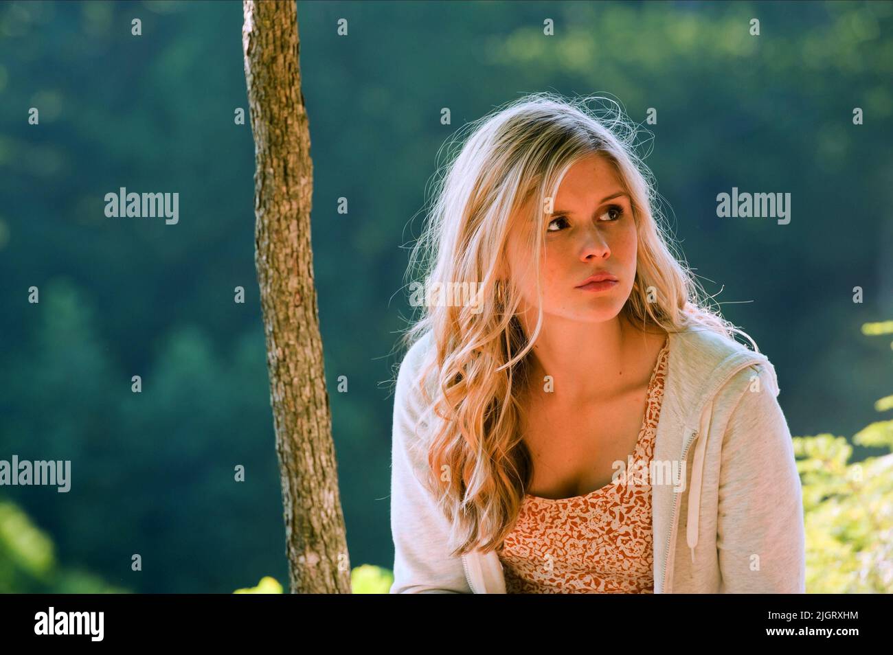ERIN MORIARTY, I RE D'ESTATE, 2013 Foto Stock