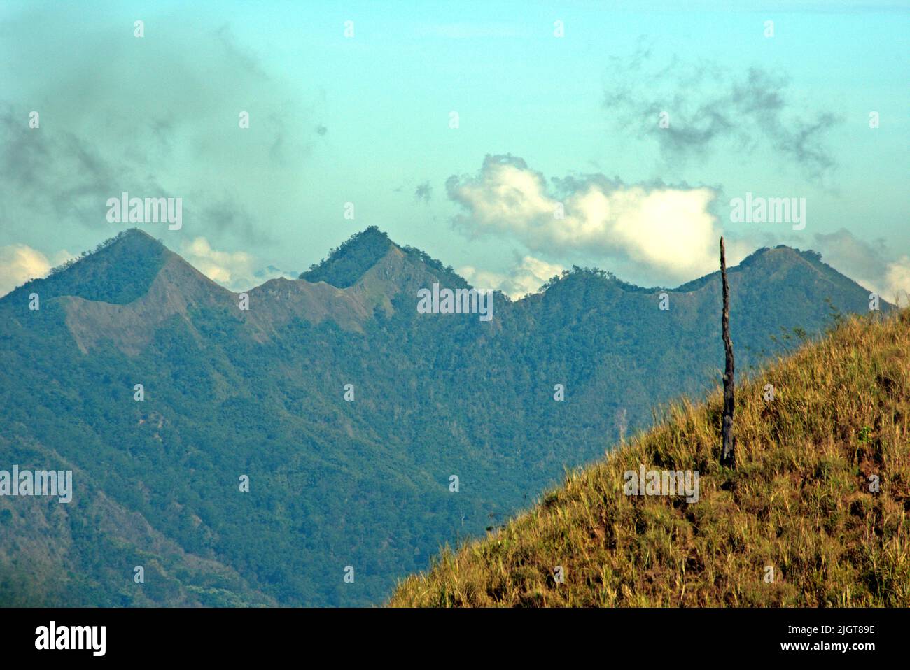La catena montuosa è vista dal Monte Mauraja ad Atadei vicino alla costa meridionale dell'Isola di Lembata a Lembata, Nusa Tenggara orientale, Indonesia. Foto Stock