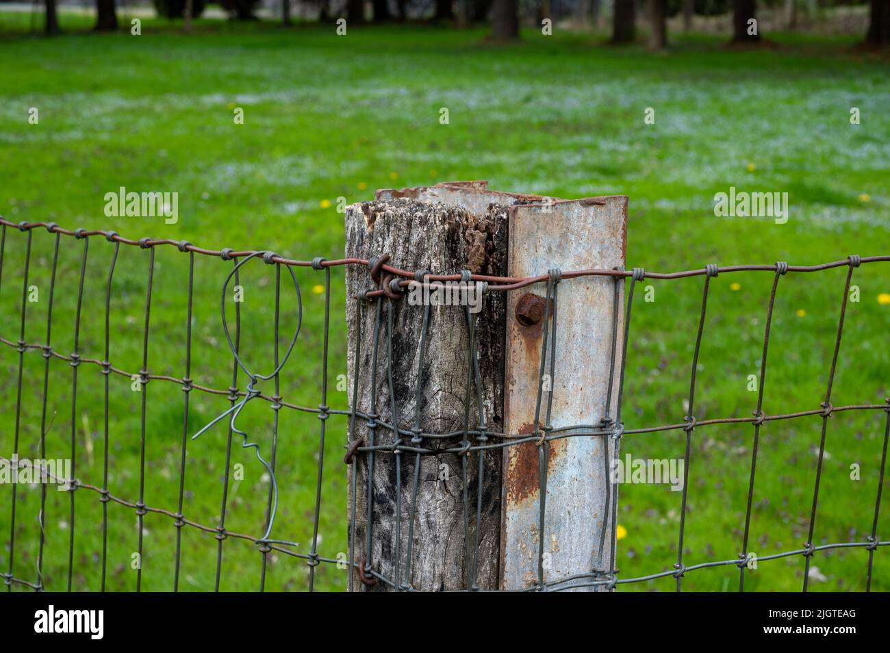 palo di recinzione angolare in legno con recinzione in filo metallico Foto Stock