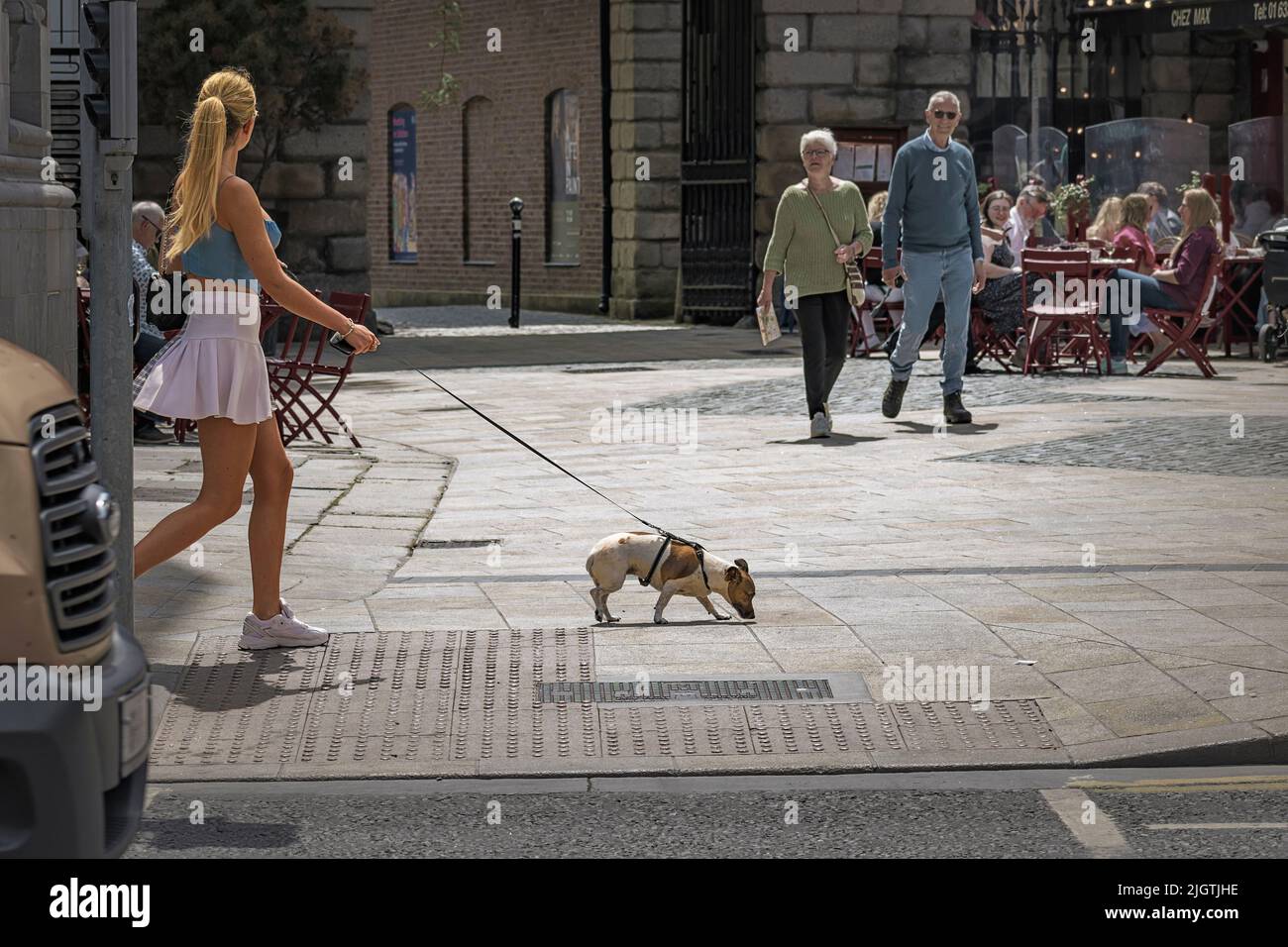 Giovinezza ed età. Una giovane donna con un cane e una coppia di anziani che si guardano. Dublino. Irlanda. Foto Stock