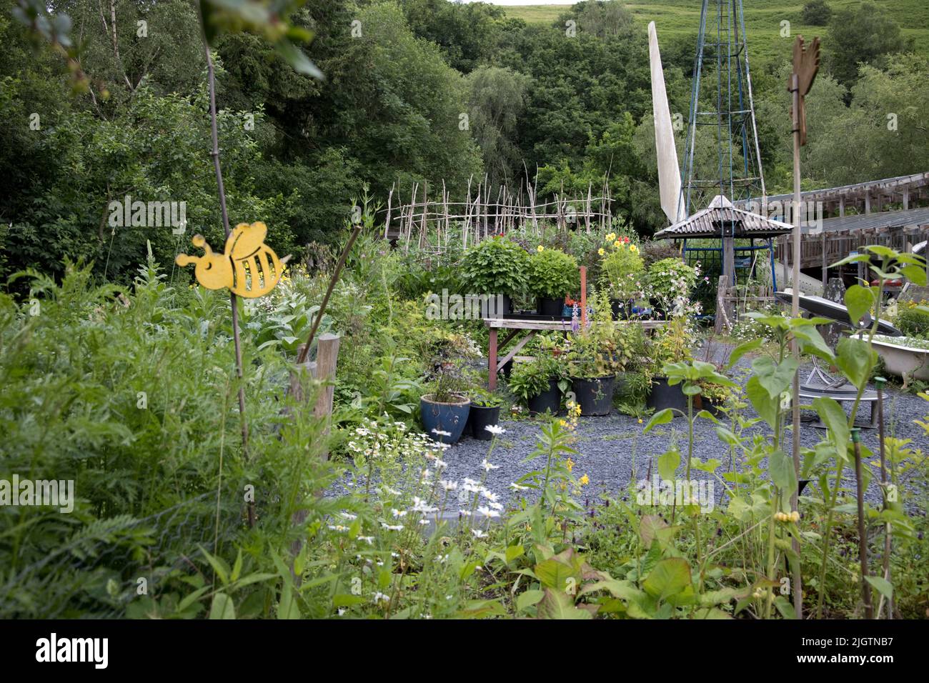 I letti allevati biologici coltivano verdure miste presso il Center for alternative Technology (CAT) Powys Wales, Regno Unito Foto Stock