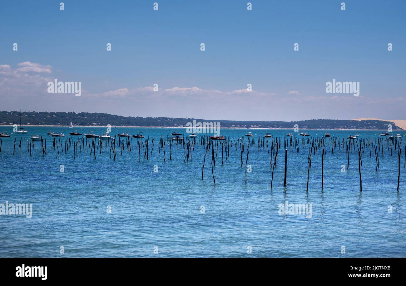 Allevamento di ostriche/pesca a Cap Ferret con le dune du pilat sullo sfondo Foto Stock