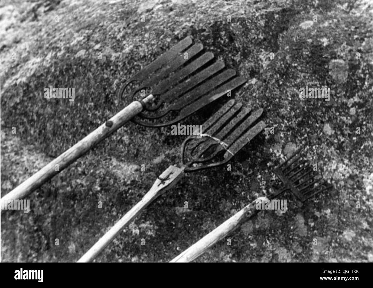 Scritto sul retro: Norvegia Vestfold Tjärneåldjster e forbici per anguilla Foto Stock