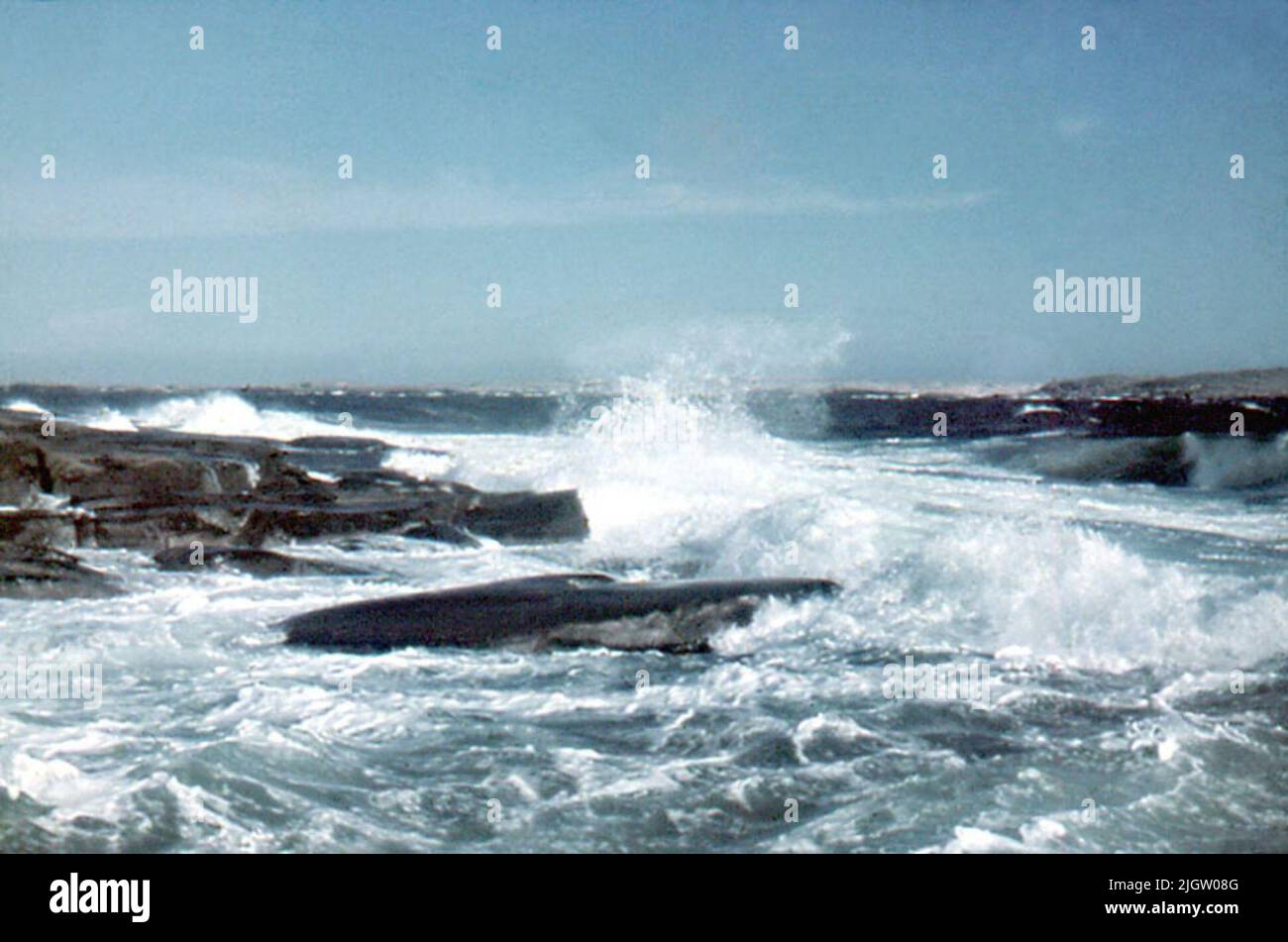 Secondo le note: 70 pz. Slide ramed. + 5 pz. lattine con slitta per oramade. Barche, cantieri navali, mare, People.Film n. 123 ustioni dal mare batte contro una spiaggia rocciosa. Foto Stock