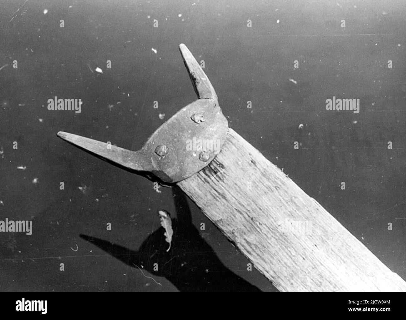 Scritto sul retro: Kürdrin? / Oder stampato sul retro: 1.464 foto sono scattate tra il 1966-09-11-1966-09-17. Foto Stock