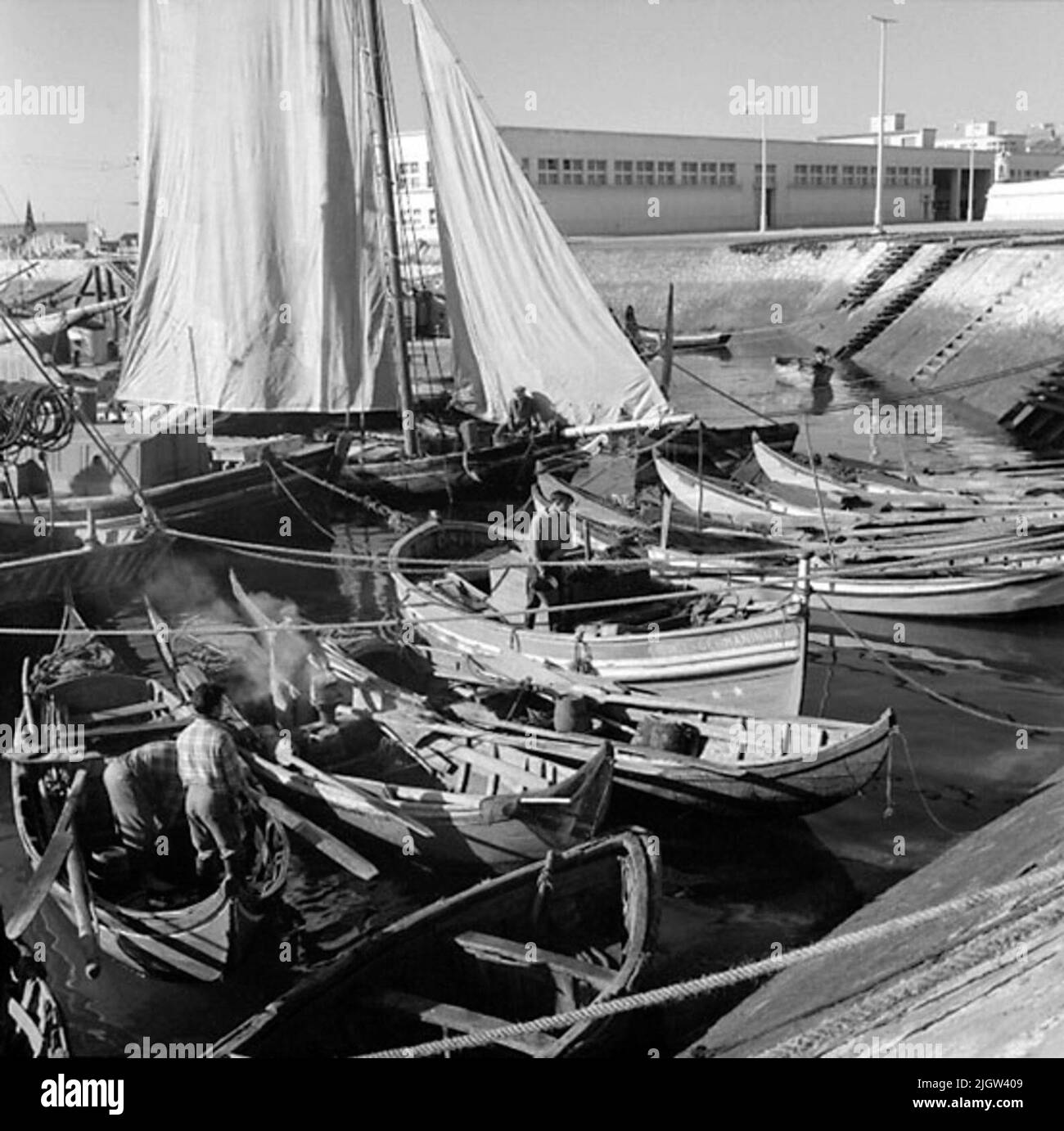 46. Portogallo. Il giornale fotografico è disponibile presso B.M.A. + Album fotografici. Acquisizione: Libri e materiale di archivio. Foto scattate 1959-11-15,12 Foto in serie. Secondo le note: Portogallo. Costa atlantica, Setubal, 15/11 -59. Foto dal porto di pesca. Alcuni uomini si occupano di varie cose in alcune barche da pesca più piccole. Foto Stock
