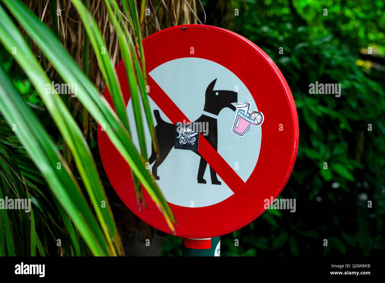 Cartello di divieto: Non sono ammessi cani Foto Stock