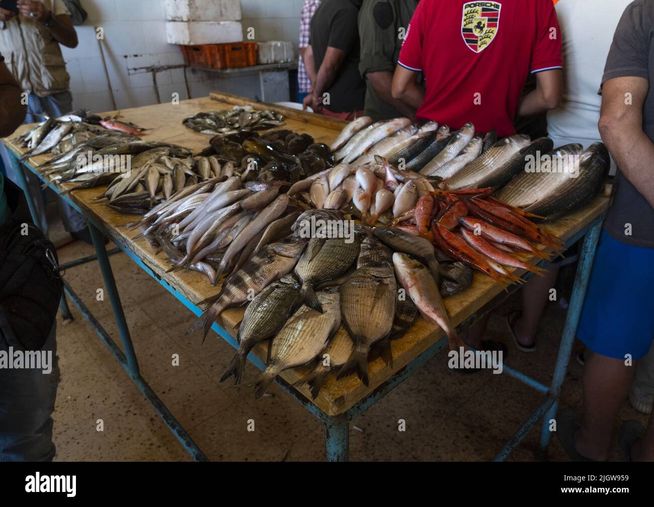 Pesci nel mercato locale del pesce, Governatorato del Nord, Tripoli, Libano Foto Stock